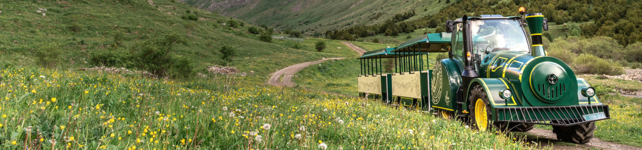 tren de panticosa fondo contacto